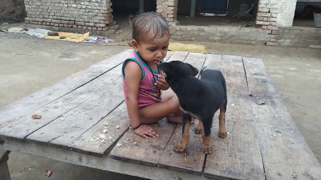 Cute bebi and dog