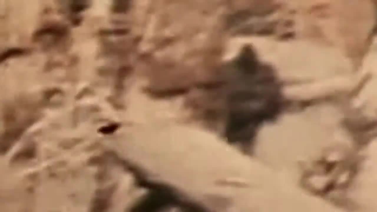 Bigfoot Footage - Sasquatch Video - Vintage 8mm