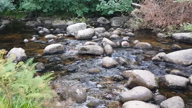 Exploring the river at Dartmeat. Dartmoor