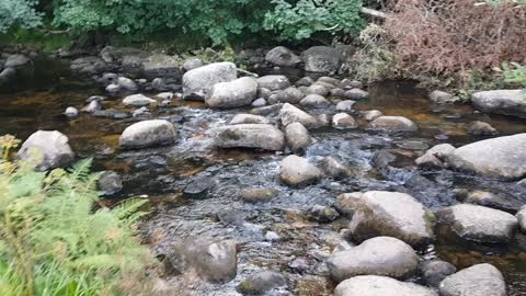 Exploring the river at Dartmeat. Dartmoor