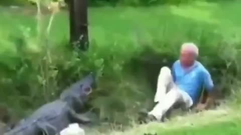 Biden vs Gator