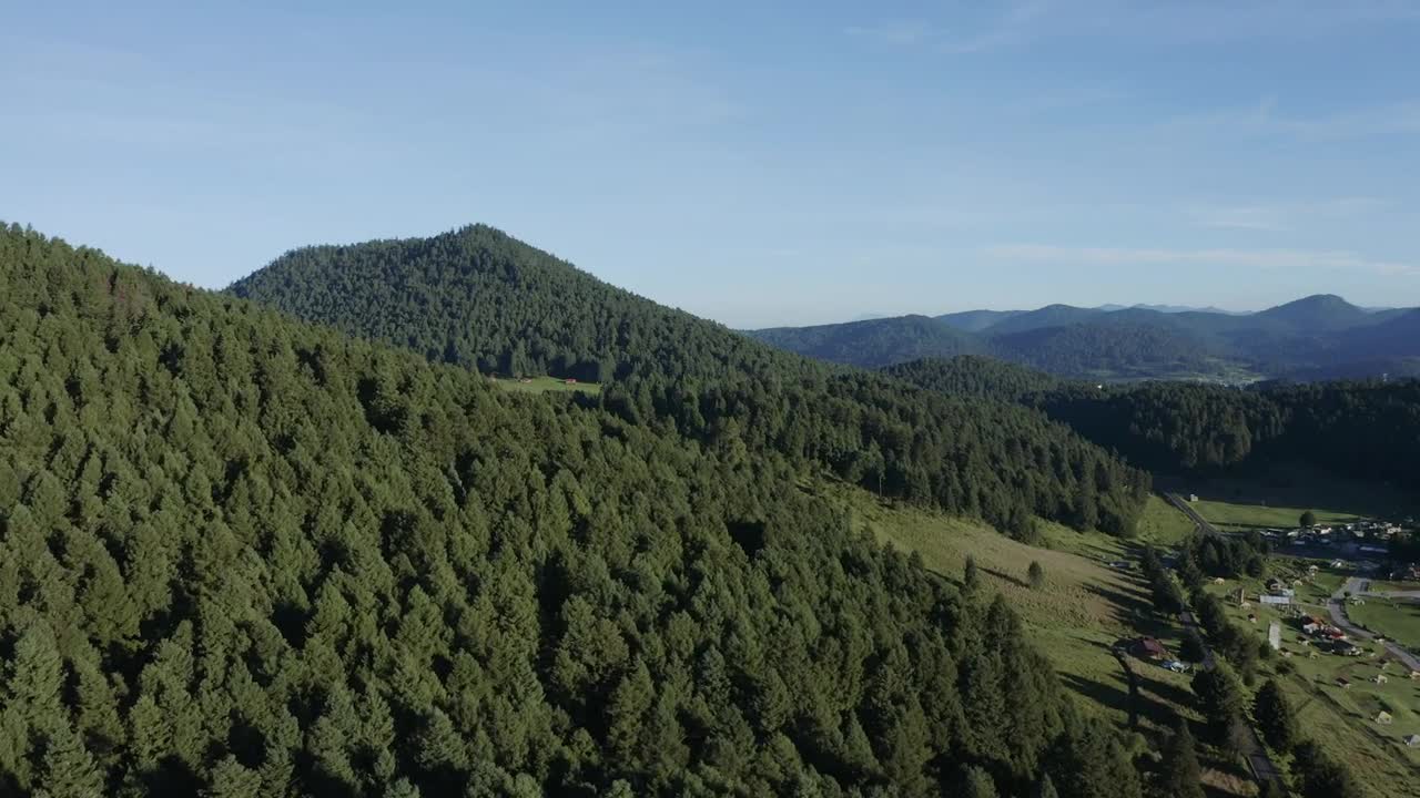 Pine forest on a mountain range tour, aerial shot