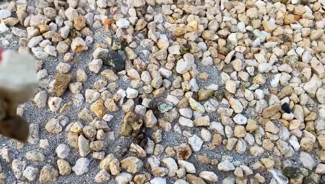 ITO NA YONG MANILA BAY NGAYO NA BASURA NOON.