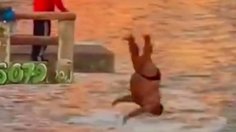 Funny,Video, Woman