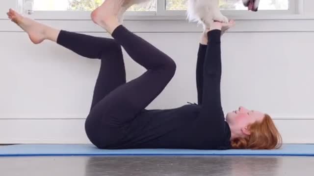 YOGA WITH THE AUSTRALIAN SHEPERD