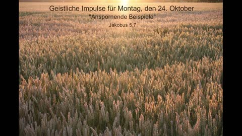 Geistliche Impulse für Montag, den 24. Oktober