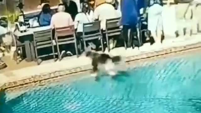 DOG OF GOD?