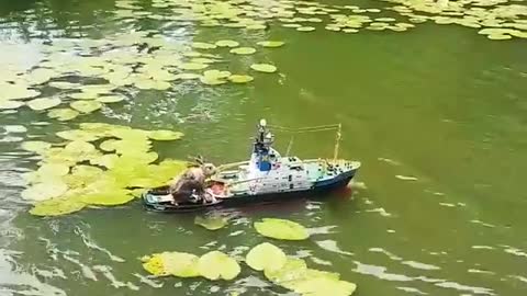 Bunny on cruising on a boat down a lake