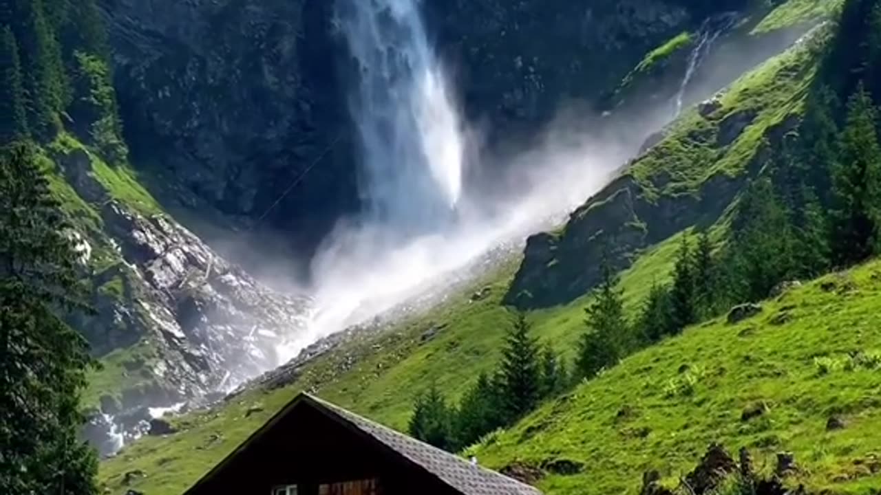 #Useful#Beautiful#Funny #Funny video#laugh# interesting#video#short video#short#short cut