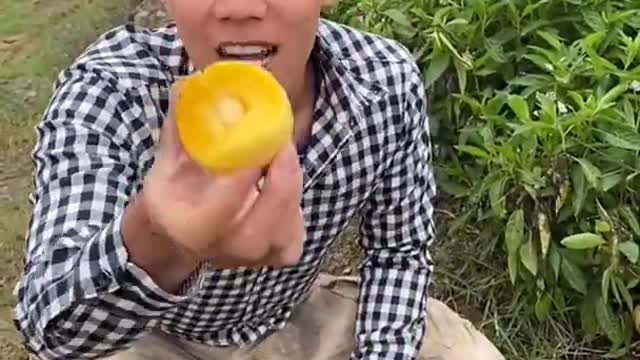 Farm Fresh Ninja Fruit Cutting Desi Satisfying Fruit Ninja Fruit Ideas | Amazing Fruits Video