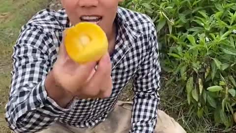 Farm Fresh Ninja Fruit Cutting Desi Satisfying Fruit Ninja Fruit Ideas | Amazing Fruits Video