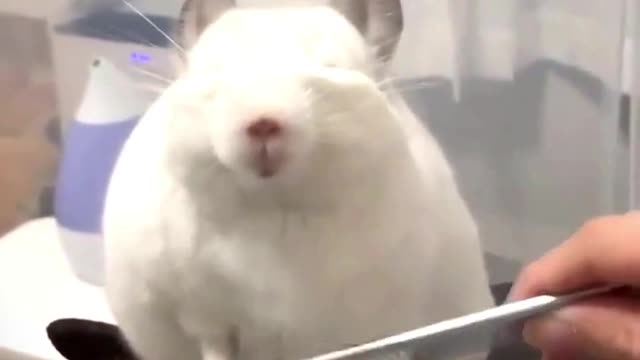 she's really enjoying this