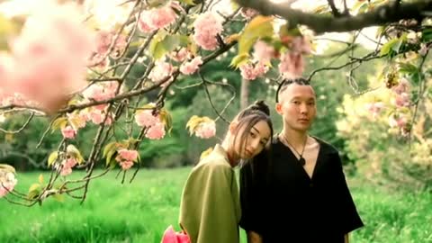 Relaxing Music | Sleeping, Meditation, Stress Relief | [1538] ⭐️