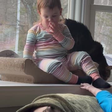 She stole the kitty’s spot!