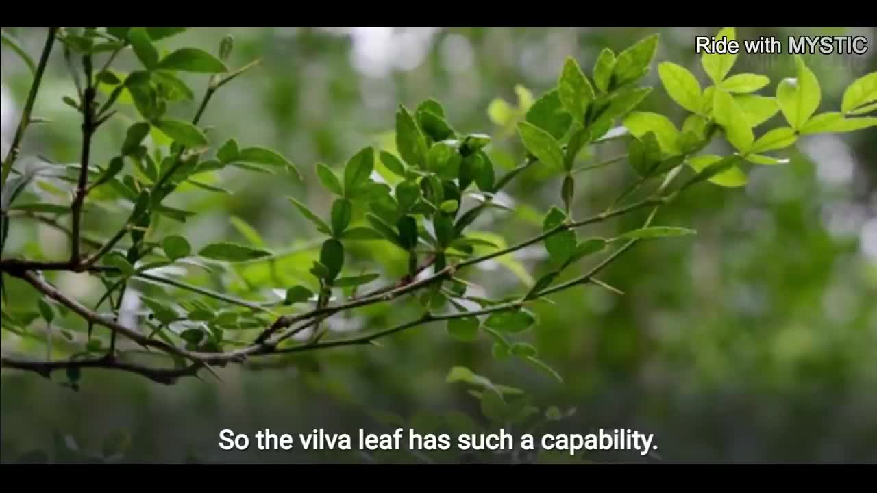 AMAZING RESULT || KEEP THIS 1 THING IN YOUR POCKET AND SEE THE MAGIC | SADHGURU