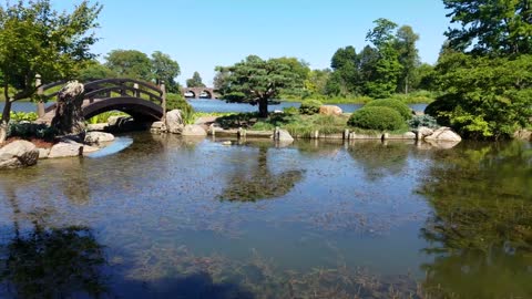 Osaka Garden,Chicago