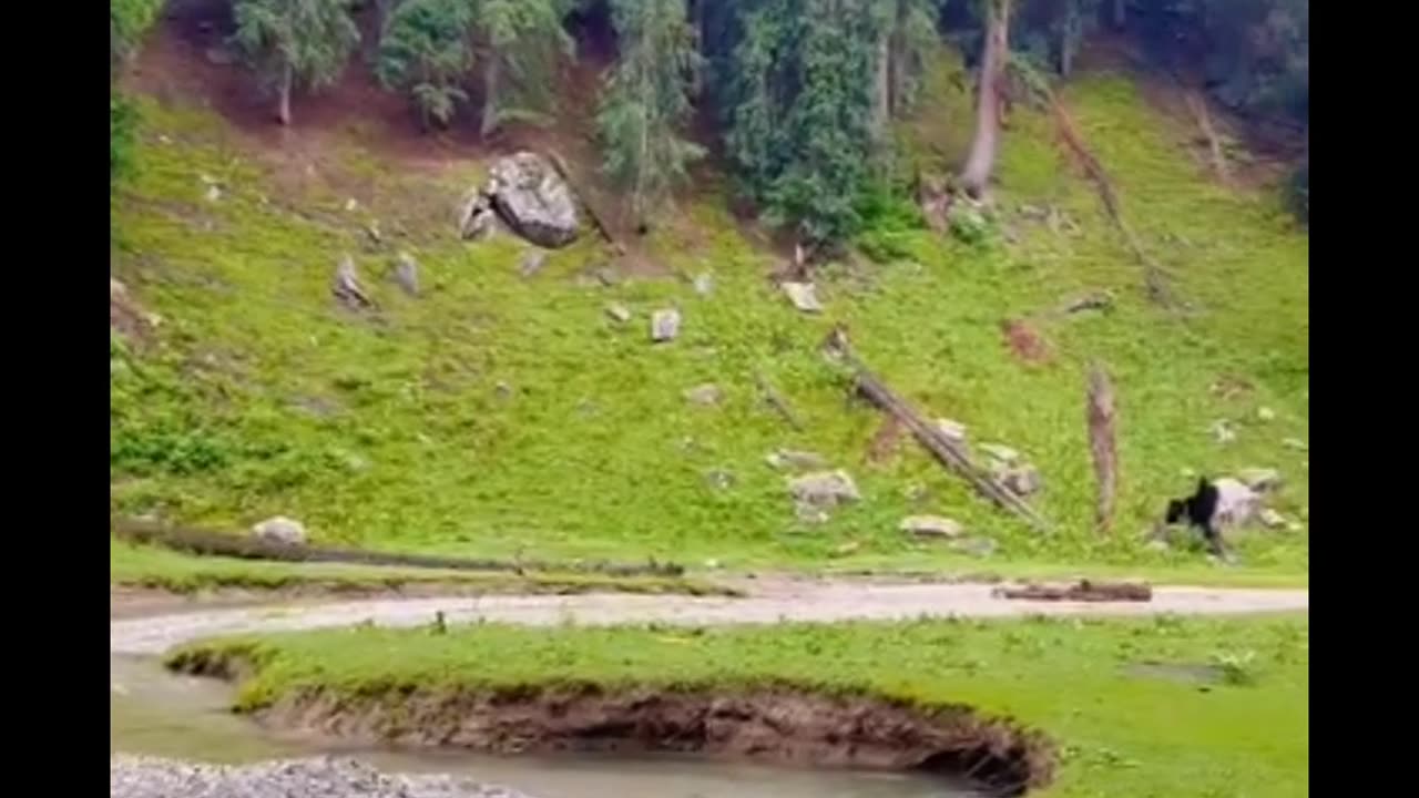 Pakistan🌲💚 Bahrain Swat Valley kpk 🇵🇰