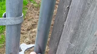 Man's sinfulness and God's election Homer, Alaska July 30, 2022