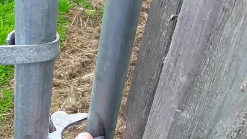 Man's sinfulness and God's election Homer, Alaska July 30, 2022