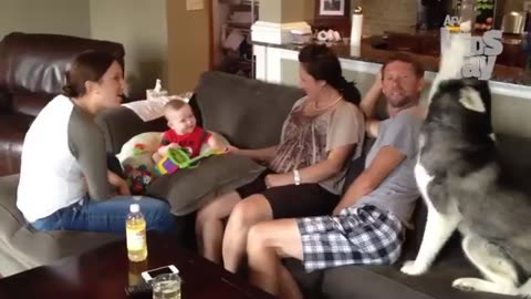 BABIES GONE WILD! 👶🤣 Best Babies Laughing Video Compilation! _ Kyoot 2023