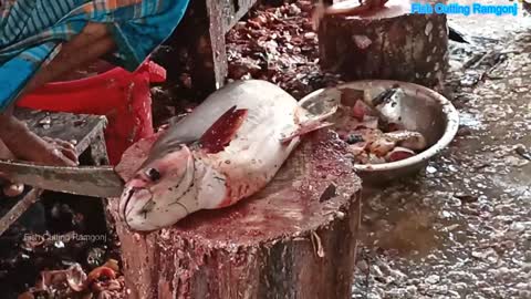 Amazing fish cutting video