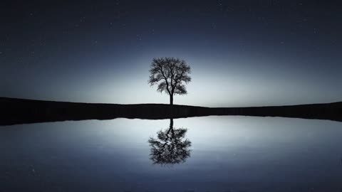 Sleeping Relaxing Music _ Powerful Guided Meditation for Body Scan and Deep Sleep