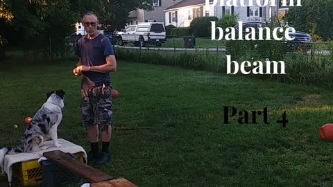 Ruff Cut PodCast: Raised Platform and Balance Beam part 4 cut 3