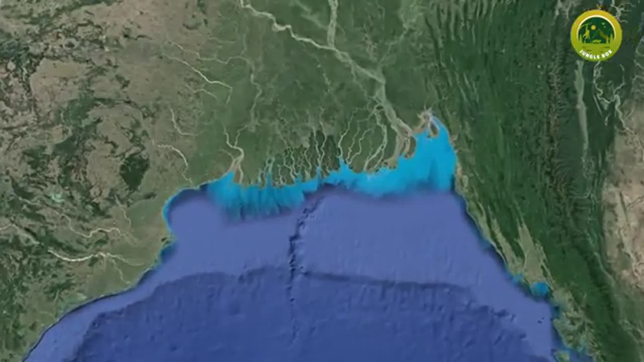 These-are-the-10-largest-forests-in-the-world
