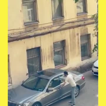 The Love Of The Crows For Their Baby