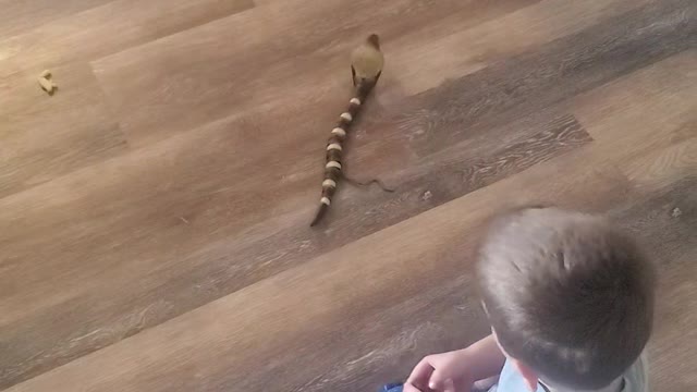 Leo's pet snake