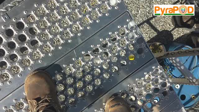 將第一套矽沙魚菜共生做在金豆莢的裏面: 這次用一些草墊底