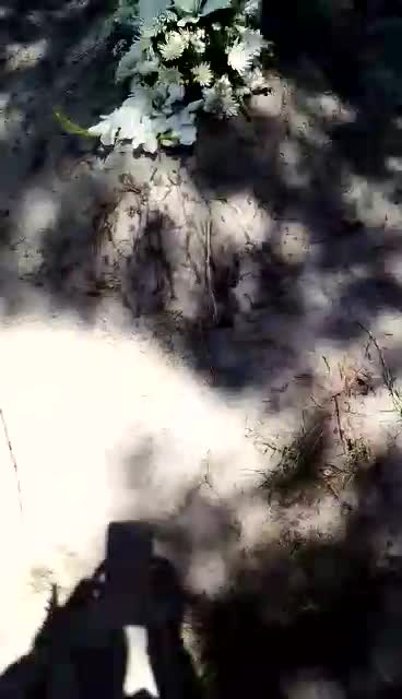 Slain baby Caswell laid to rest