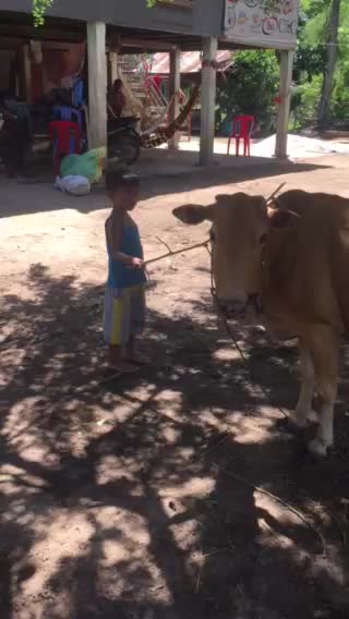 The playing with cowboy