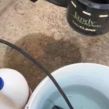 Cleaning a Salt Cell