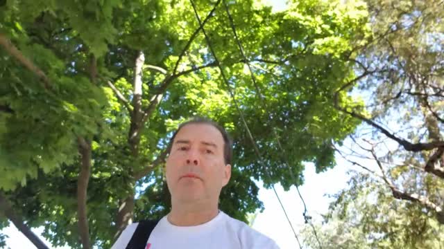 AVENUE ROAD - UNIVERSITY AVENUE VIDEO 2 OF 10 (June 4, 2022)