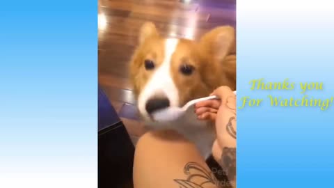 So tasty