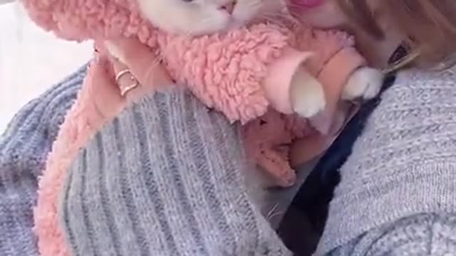 Most beautiful cat ever on tiktok 😍 famous cat