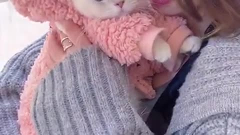 Most beautiful cat ever on tiktok 😍 famous cat