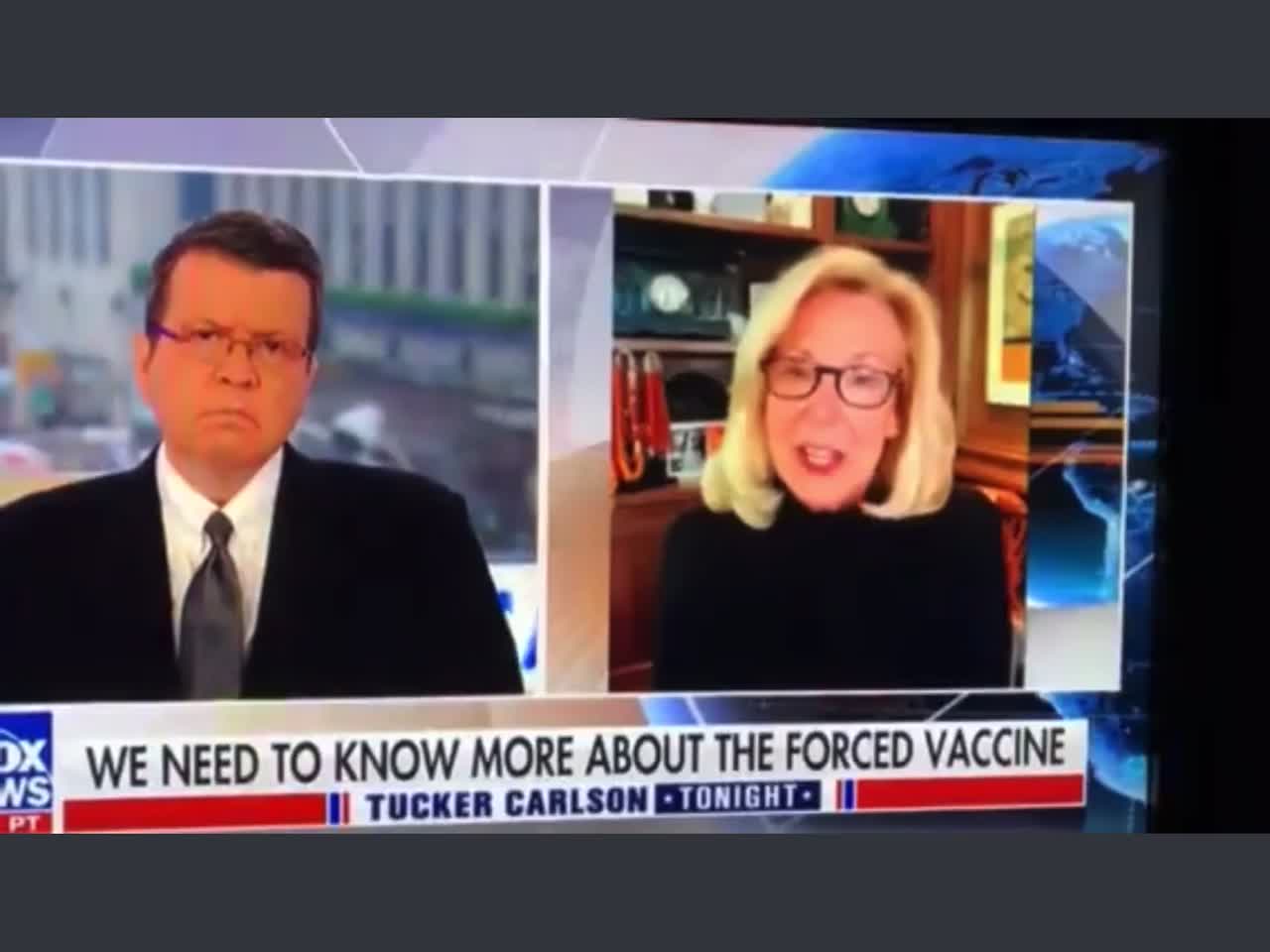 Dr Deborah Birx says she knew the vaccines wouldn’t work. Criminal charges are required now