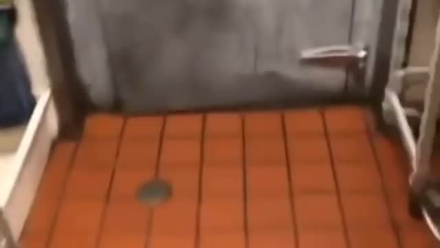 Something Smells Like Stanky Coming From The Freezer Meme
