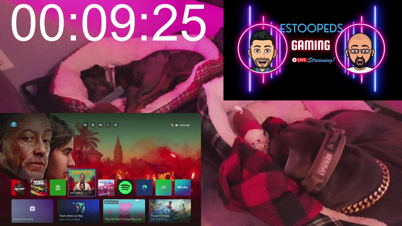 New Streaming equipment I didn't know I needed || New Game || Dog Cam||