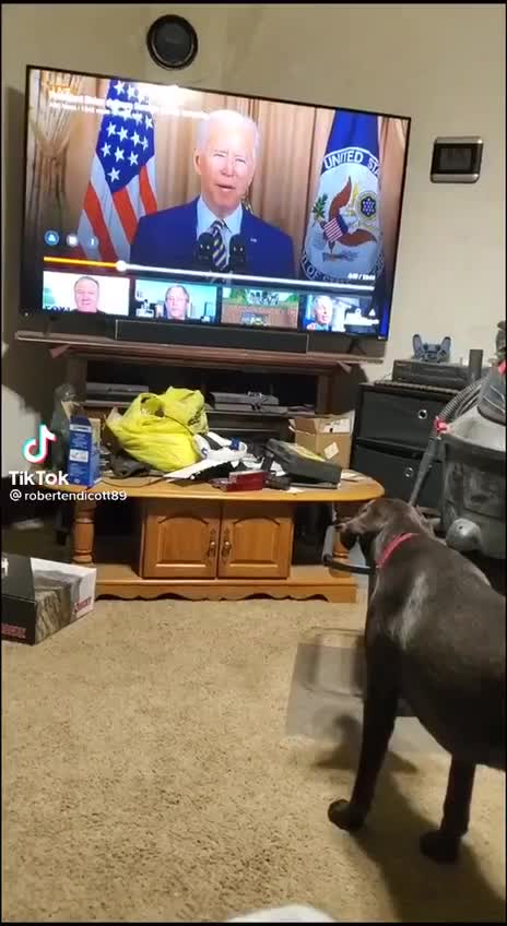 Good Dog Hates Biden
