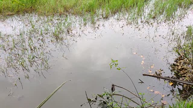 traditional type effective fishing