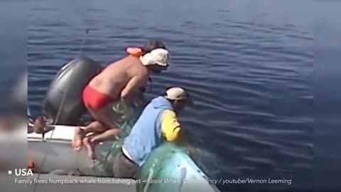 Top Rescue - Best Acts of kindness caught on camera