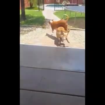 3.Weee 😅 4 #shorts