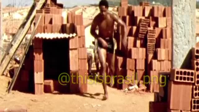 Vídeo brasileiro