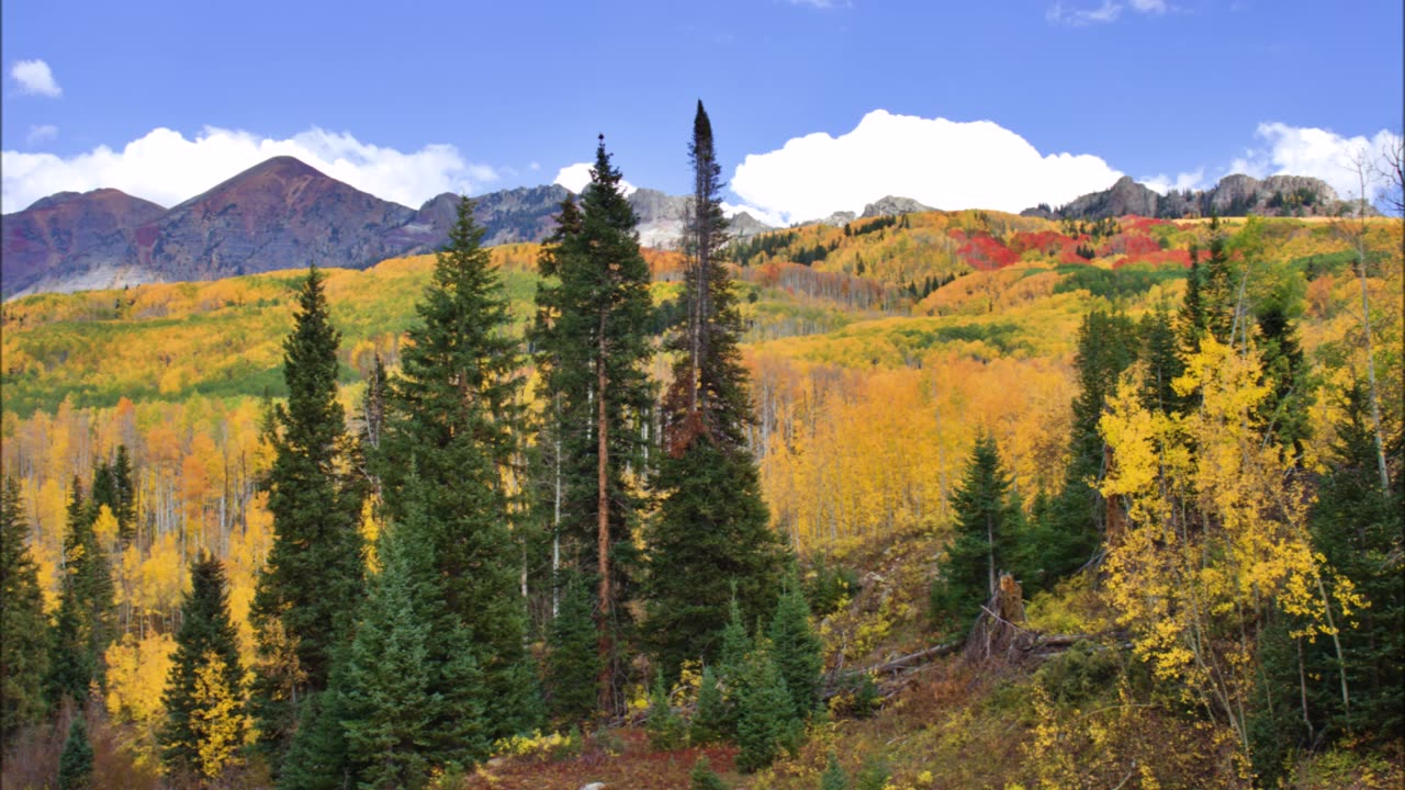 Autum Is Colouring the Hills