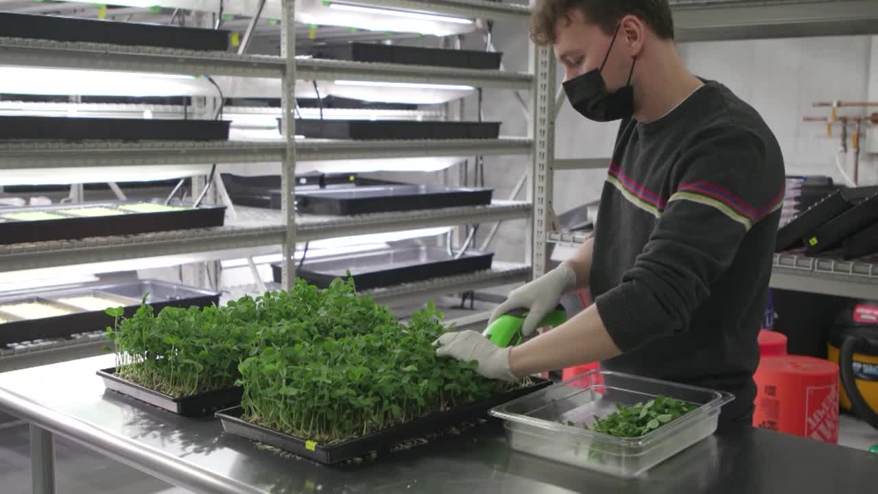 Columbus Hydroponic Farm Offers Fresh Specialty Ingredients Grown Locally