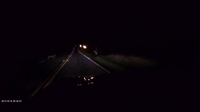 The First Deer I Killed