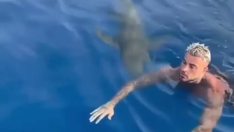 Funny swimmer with a real scary shark. (Cute Video)